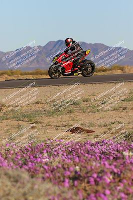 media/Jan-22-2023-CVMA (Sun) [[66d43cdebf]]/Race 17 Amateur Formula Open/